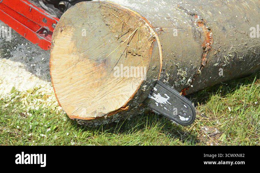 Cutting slices wood log chain Stock Videos & Footage - HD and 4K Video ...