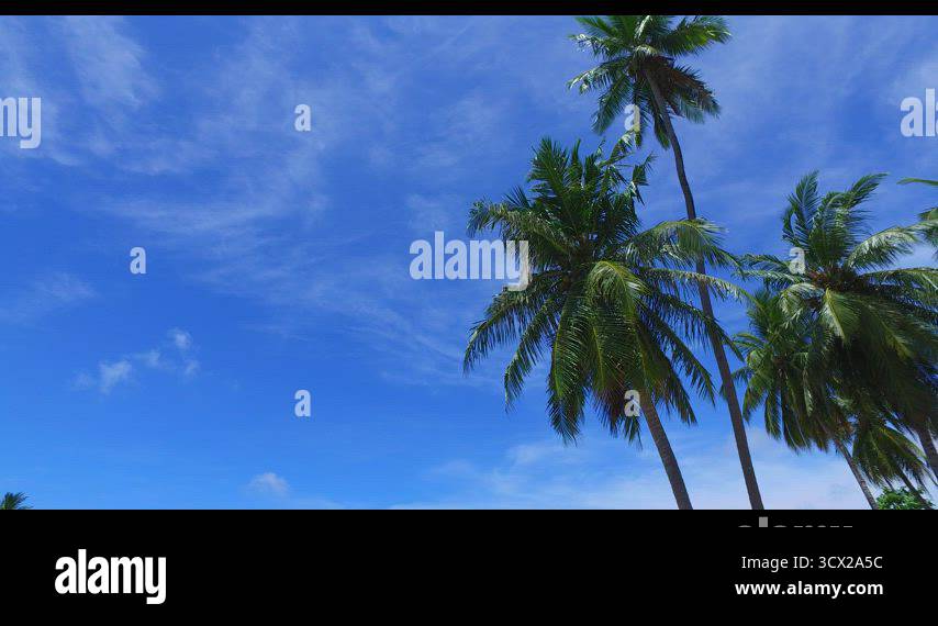Daytime above abstract shot of a white paradise beach and blue water ...