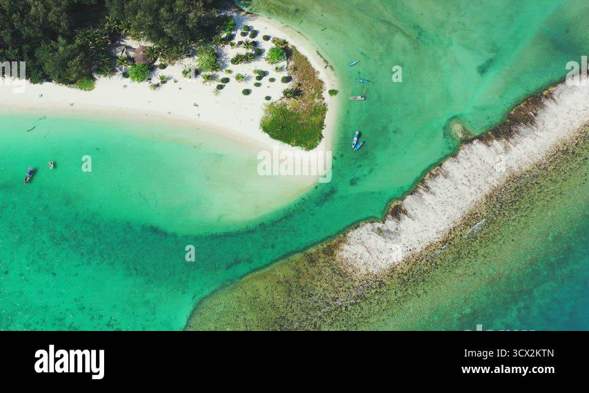 Daytime flying abstract view of a paradise sunny white sand beach and ...