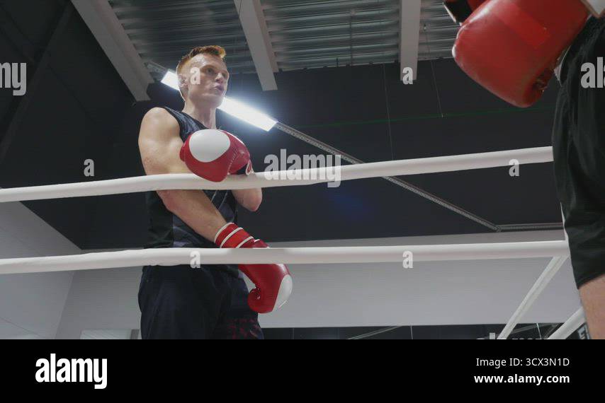 Boxer man discussing training plan on boxing ring in fight club. Man ...