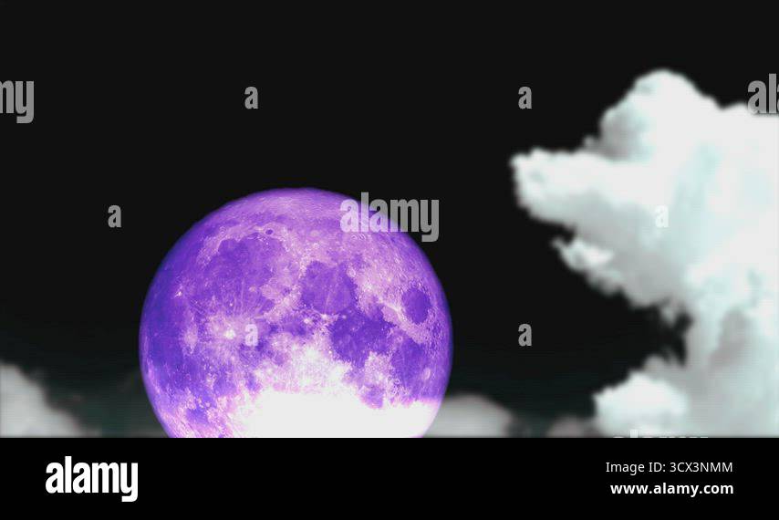 Full purple moon back on Stock Videos & Footage - HD and 4K Video Clips ...