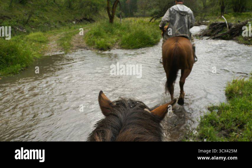Stallion Streams Ride on horse through the stream Stock Video Footage - Alamy