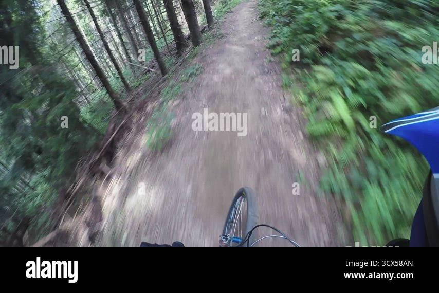 Downhill mountain bike ride forest Stock Videos & Footage - HD and 4K ...
