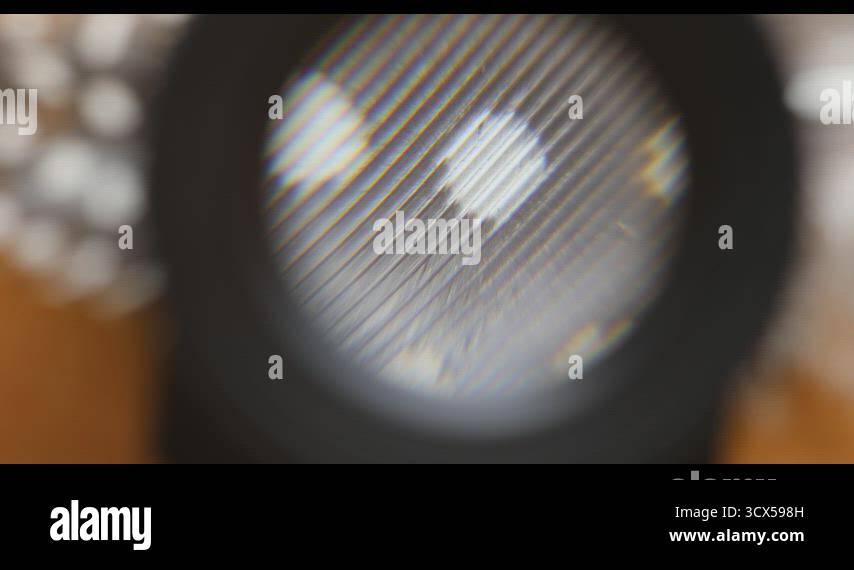 under the magnifying glass you can see the enlarged feather Stock Video ...