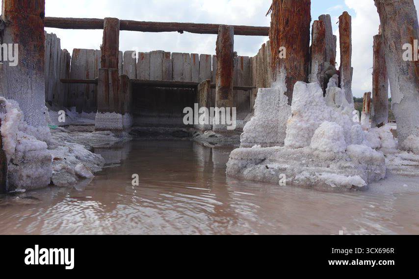Drying Kuyalnik estuary. Salt crystals on wooden pillars of an old 18th ...