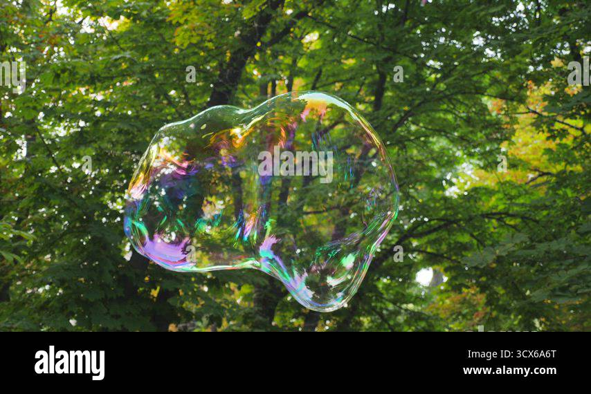 Kids Playing with the Soap Bubbles in the Park. Beautiful Big Soap ...