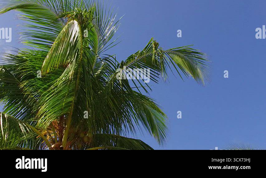 Daytime travel of idyllic lagoon beach vacation by blue lagoon with ...