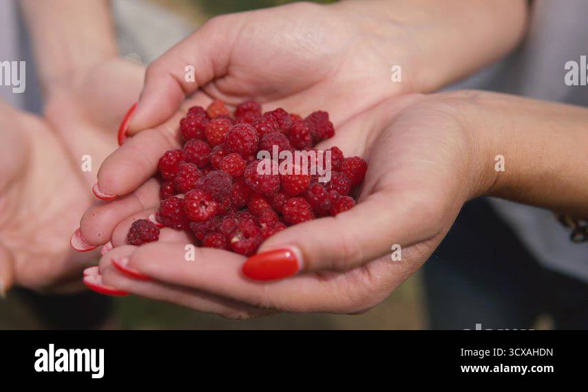 Hands woman kid in Stock Videos & Footage - HD and 4K Video Clips - Alamy