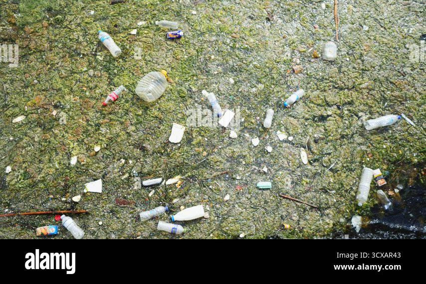 Environmental problem of plastic rubbish pollution in ocean Stock Video ...