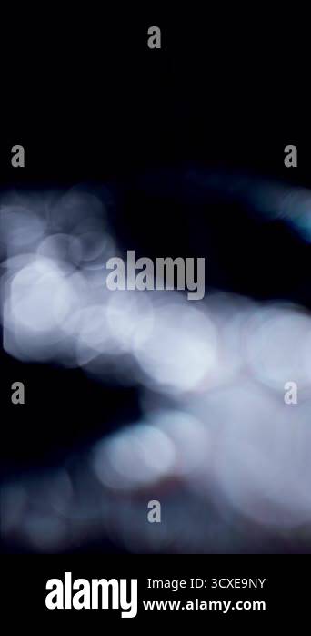 Gallery image with a fresh perspective