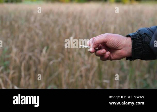 Still Life Smoking Human Skull With Cigarette On Wooden Table Stock Photo - Image Of Cross, Medicine: 59596110 Australia