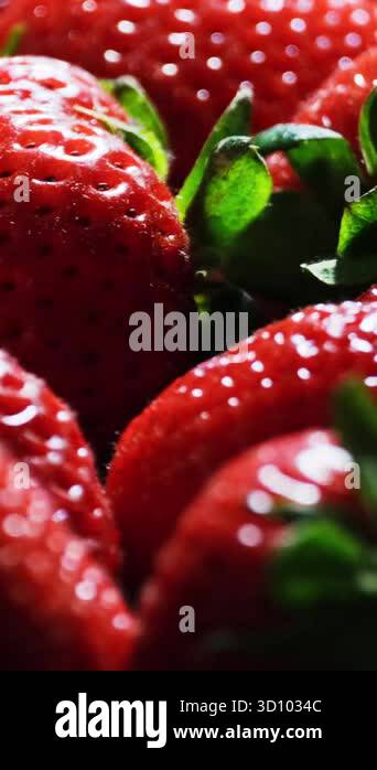 A detailed closeup of fresh ripe strawberries highlighting their vivid ...