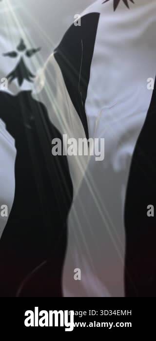 Flag of the city of Rennes, France. Loop. 4K Vertical Stock Video ...