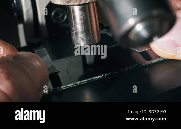 Macro view of fingers placing a glass slide onto a microscope stage ...