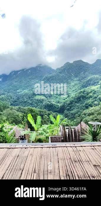 Asian luxury travel concept, peaceful mountain view and fog with unique