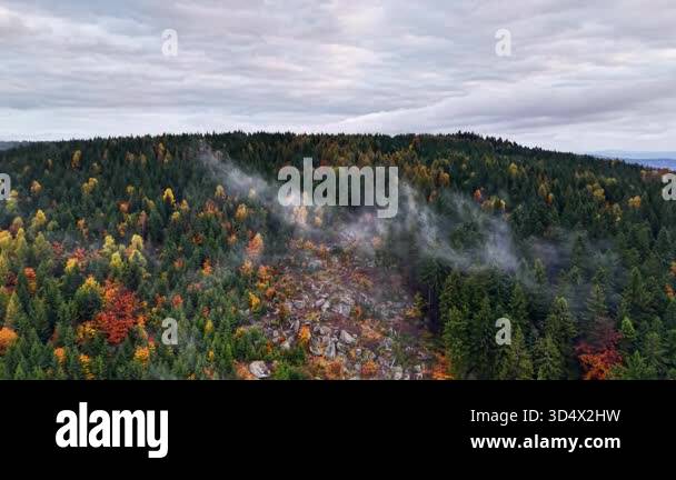 Gentle fog rides over rocky woods during fall day, Dense mist hovers ...