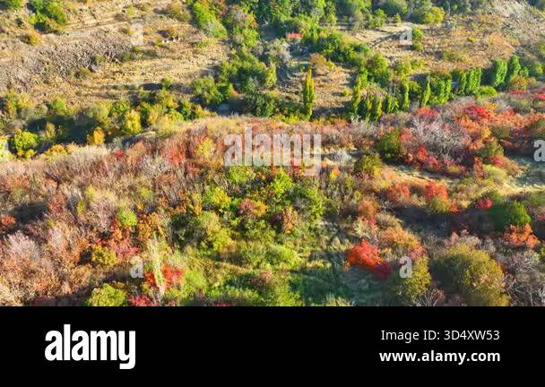 beautiful autumn landscape with trees and forest Stock Video Footage ...