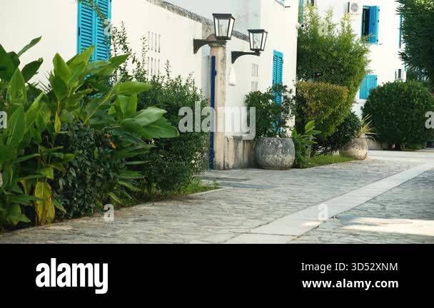 A bright pathway runs beside tall green plants and a white house wall ...