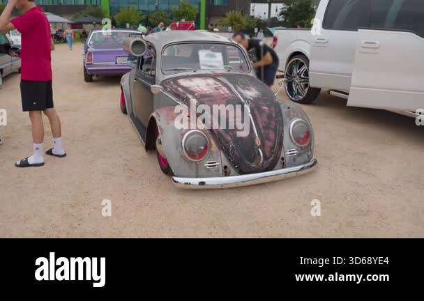 Patina Beetle Stock Videos Footage Hd And 4k Video Clips Alamy