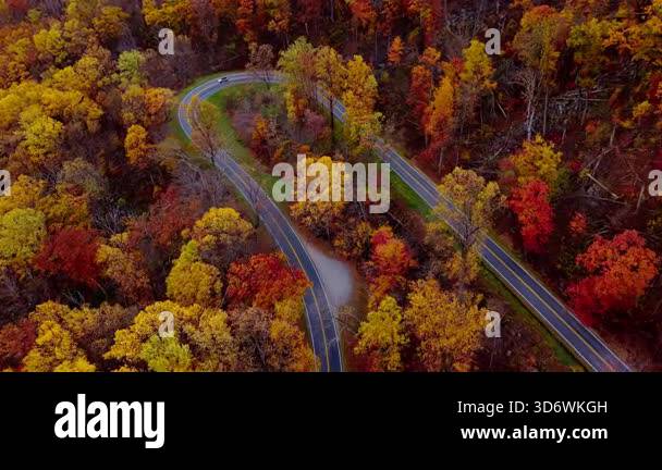 Drone top-down view of a winding mountain road surrounded by vibrant ...