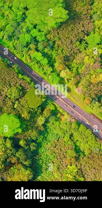 Diagonal road with vehicles surrounded by lush green forest. Contrast ...