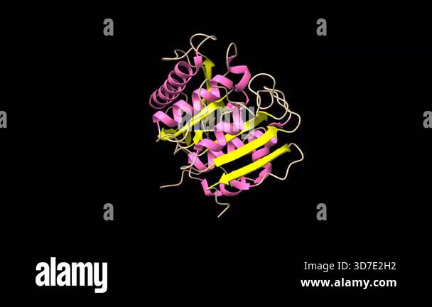 Petase Structure Crystal structure of PETase from Ideonella sakaiensis. Animated 3D ...