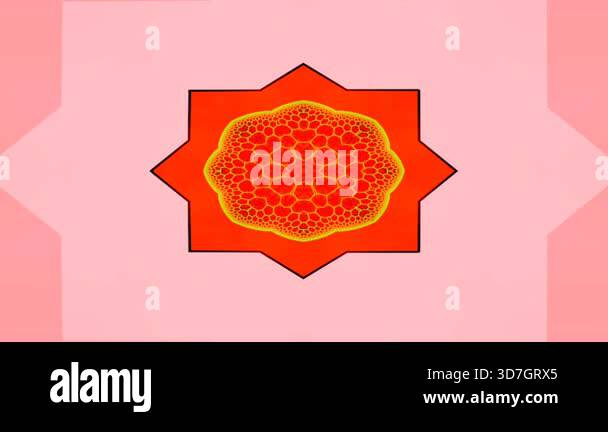 Pink Abstract Animation Soft pink abstract animation featuring smooth geometric shapes subtly ...