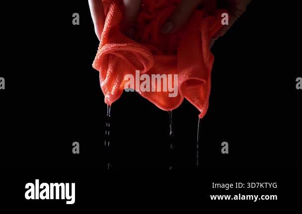Black Rag Falling Female Hands Squeezing Wet Orange Rag On Black Background. Transparent ...