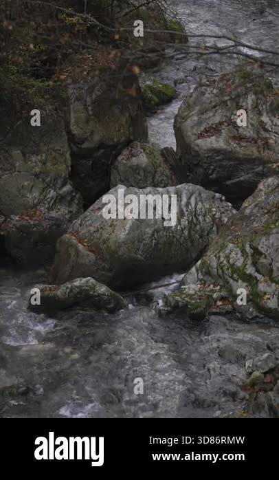 mountain stream rushing over boulders, moss-covered rocks channel cold ...
