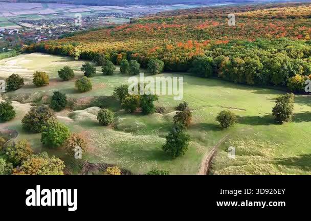 Aerial drone view of the Hadambu oak clearing near Iai, Romania ...