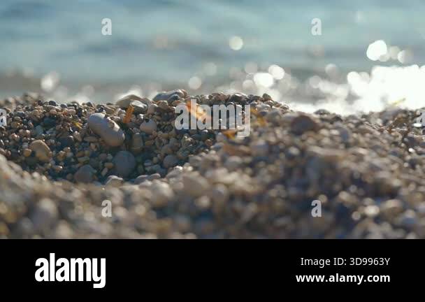 Closeup detail - small pebbles or rough sand on a beach, blurred ...