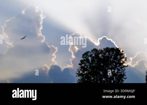 Ray Coming Back Sun rays coming out Stock Videos & Footage - HD and 4K Video Clips - Alamy