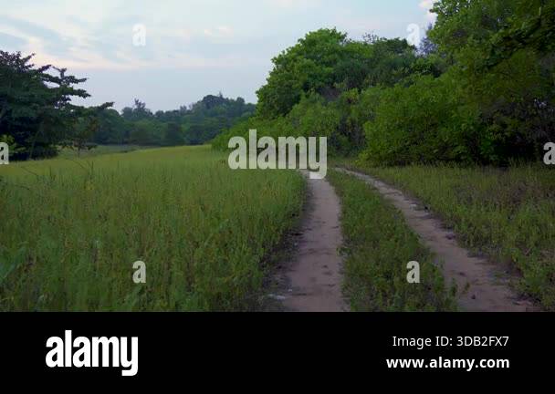 Sliding tracking shot of country dirt road in a grass field with a ...