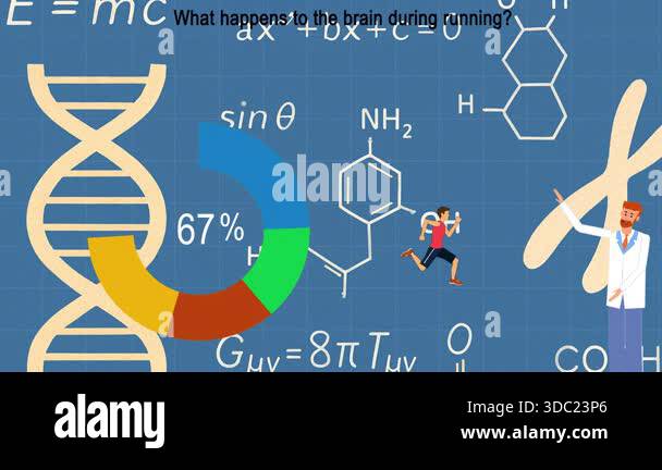 Animated explainer showing what happens in the brain during running ...