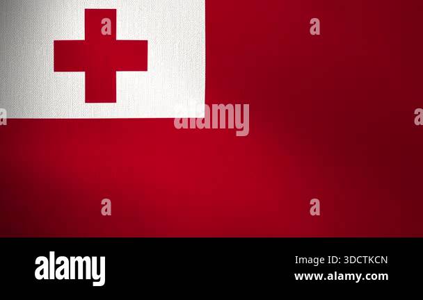 Tonga flag flutters in the wind. looped animation. Background. Concept ...