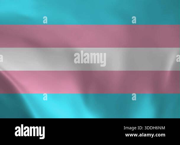 A powerful display of the LGBTQ Transgender Pride Flag, featuring the ...
