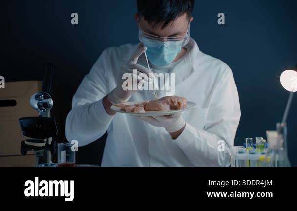 Genetic injection into raw chicken meat. Scientist doing injection to ...