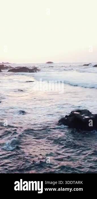 Experience the serene beauty of nature in this captivating video of a ...