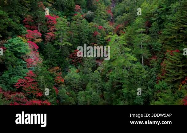 Beautiful aerial views of autumn fall foliage landscape in valley ...
