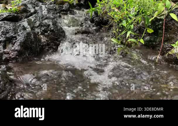 Water Erosion Concept. Fresh Mountain Stream Flowing Over Sediment ...