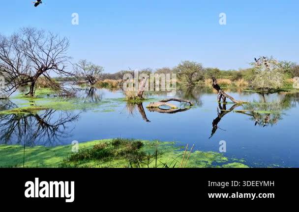 mirror-like-water-reflects-trees-and-grassy-islets-surrounded-by