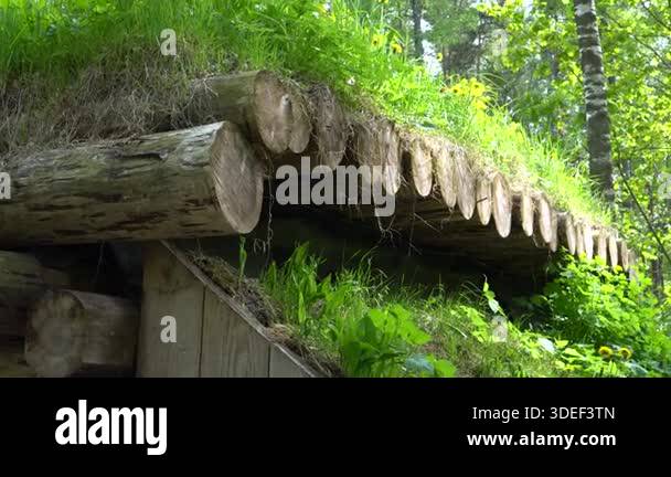 Weathered logs form a dugout roof layered with soil and turf; camera ...