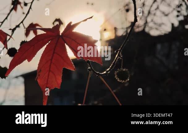 Intense backdrop of architecture Stock Videos & Footage - HD and 4K ...