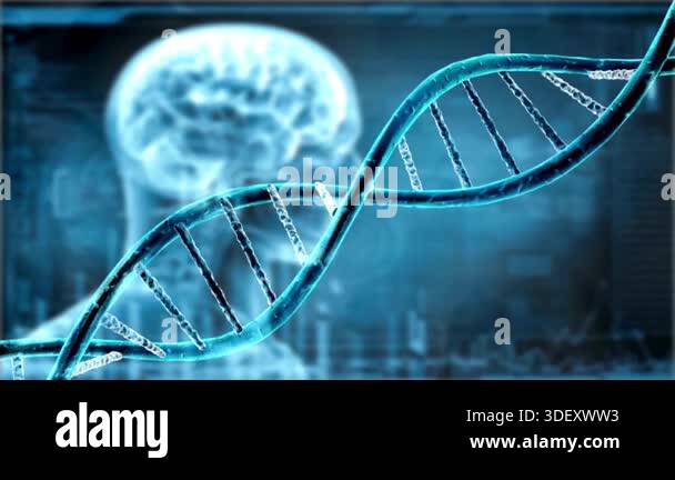 DNA double helix structure with human brain in background, representing ...