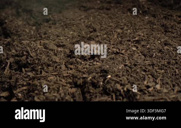 Close up view of dry soil surface shaking and cracking due to ground ...
