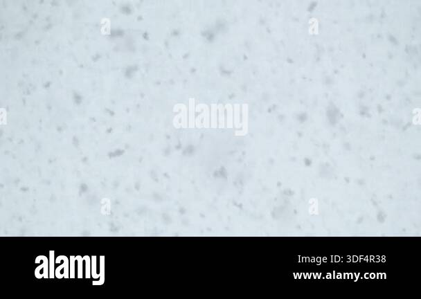 Close up Of Snowflakes Falling Against A White Winter Sky Soft close-up-of-snowflakes-falling-against-a-white-winter-sky-soft