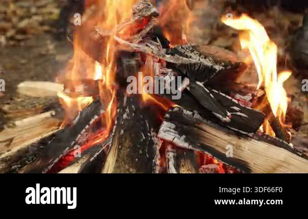 Glowing embers, Fire warmth, Firewood embers. In outdoor environment ...