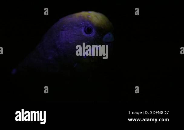 Gallery image with a fresh perspective
