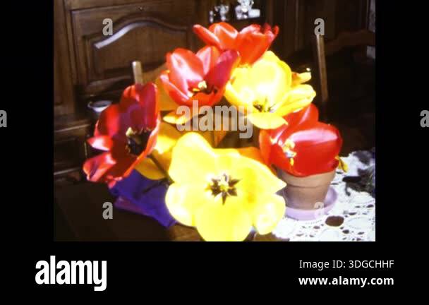 Paris, france december 1980: authentic 8mm vintage film of a colorful ...