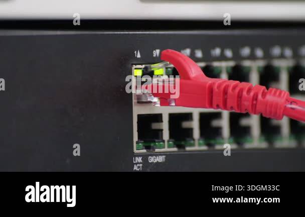 red Ethernet cable connected to a gigabit network switch, showing ...